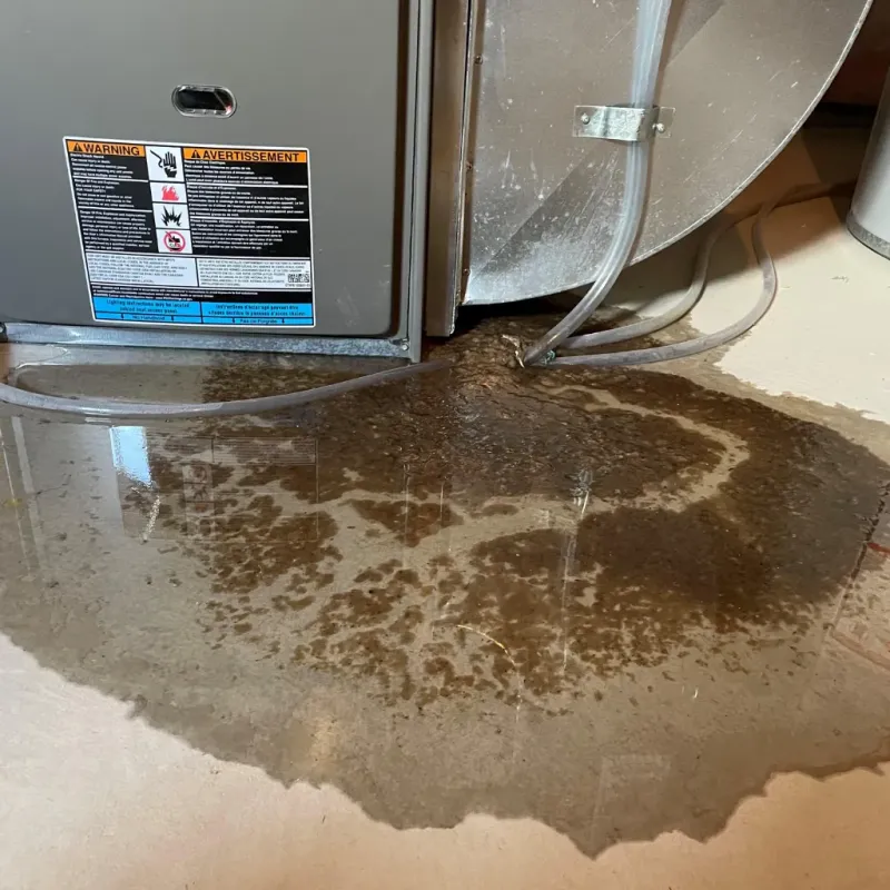 Appliance Leak Cleanup in Grand Forks County, ND